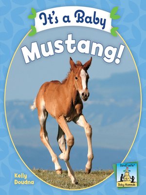 cover image of It's a Baby Mustang